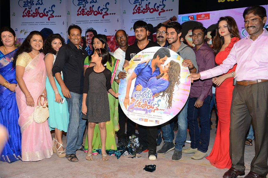 Pyaar-Mein-Padipoyane-Audio-Launch